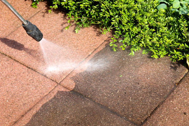 Best Best Pressure Washing Companies  in Palos Heights, IL
