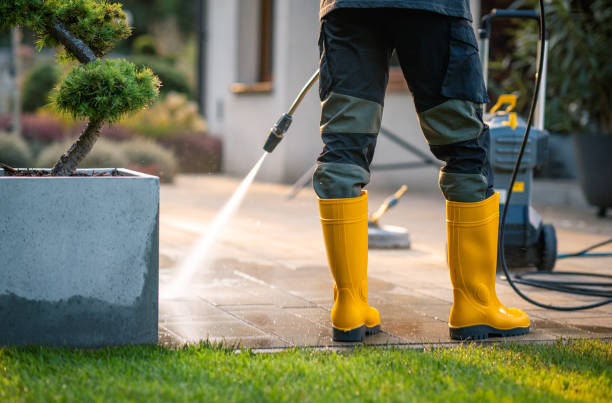 Best House Pressure Washing  in Palos Heights, IL